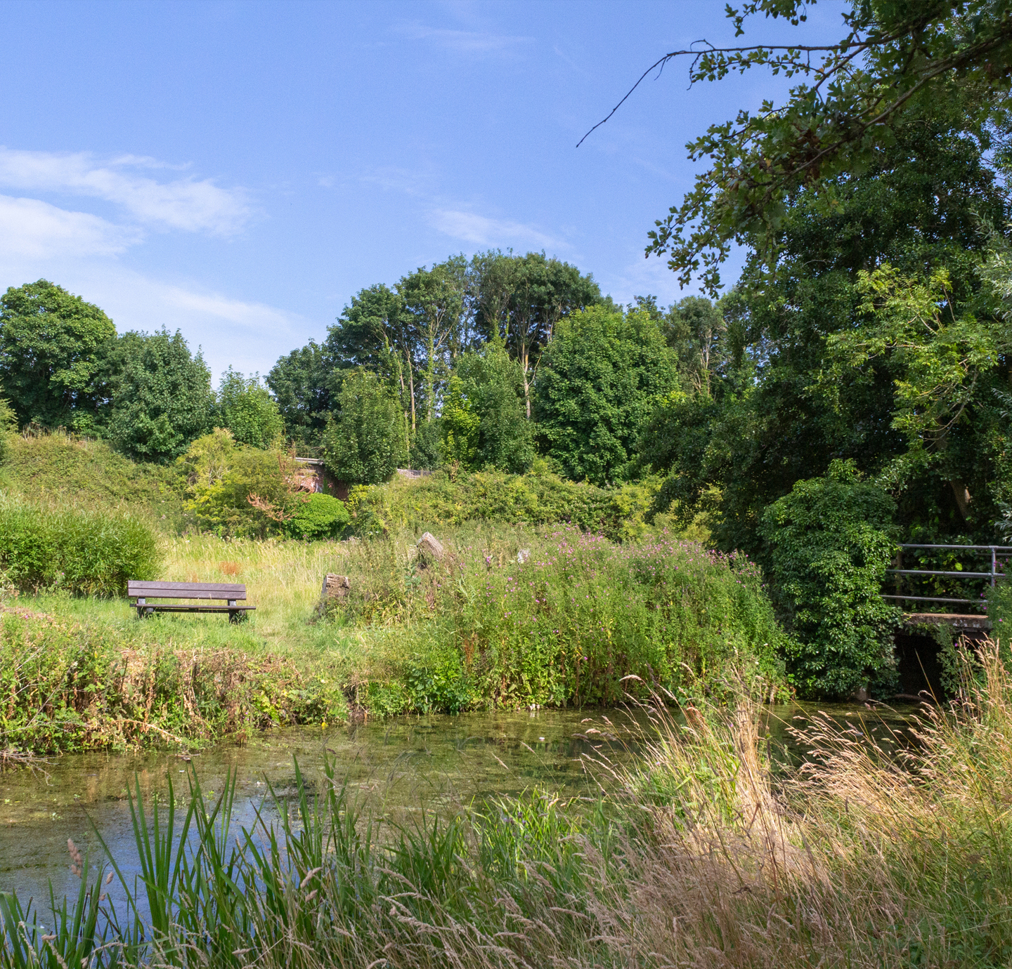 Halesworth Millenium Green